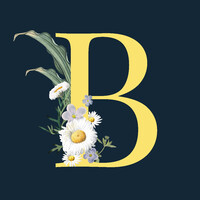 Butler Consulting logo - Similar company to Butler Consulting