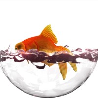 FISHBOWL logo - Similar company to Viewws