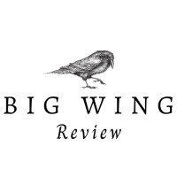 Big Wing Review logo - Similar company to Bigwing | Localiq
