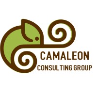 Camaleon Consulting Group logo - Similar company to Centro De Asesoria Y Diseño De Sistemas S.A. (Cads, S.A.)