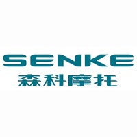 SENKE Motorcycle logo - Similar company to Thunderboards Technologies