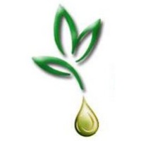 Spice Kingdom logo - Similar company to Ibic Group