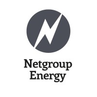 Netgroup Energy logo - Similar company to Fastbit Ab