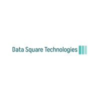 Data Square Technologies logo - Similar company to Next Beast