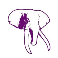 Eleccount Consulting, LLC logo - Similar company to Hammett Technologies, Llc