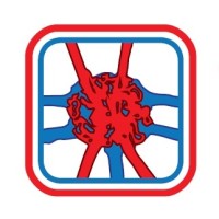 The Yakes Vascular Malformation Center logo - Similar company to V.A.Cure Project