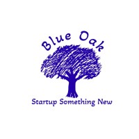 Blue Oak Silicon Valley logo - Similar company to Learning Lot, Inc