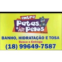 Entre Patas E Pelos