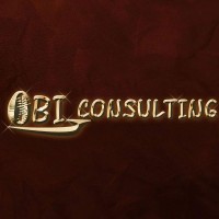 Obi digital Consulting logo - Similar company to Olive Branch International Digital Solutions (Obi Digital)