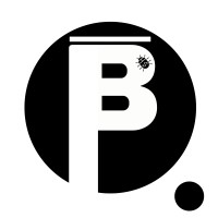 Biz Bridge Connect logo - Similar company to Ecstasy Digital - Optimize | Amplify | Dominate
