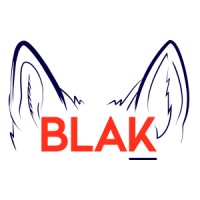 BLAK Agency logo - Similar company to Versasense