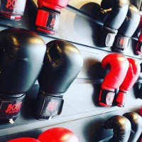 BOUT Boxing logo - Similar company to Betcombat