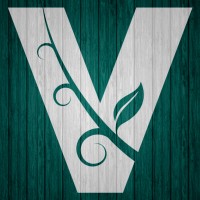 Vitis Realty