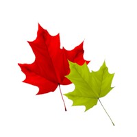 Hulse, Playfair & McGarry Funeral & Cremation Services