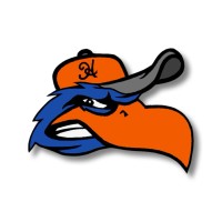 Hyannis Harbor Hawks logo - Similar company to Cape Cod Baseball League