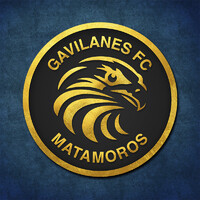 Gavilanes FC Matamoros logo - Similar company to Edificio Sede Del Poder Judicial De La Federacion