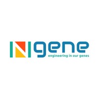 Ngene logo - Similar company to The Gituzh Initiative / Գիտուժ Նախաձեռնություն