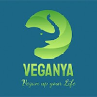Veganya Food logo - Similar company to Instameatoo