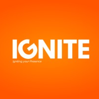 IGNITE INSIGHTS logo - Similar company to Bitmo