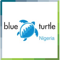 Blue Turtle Technologies Nigeria logo - Similar company to Goldzip