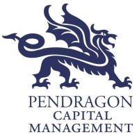 Pendragon Capital Management, Inc. logo - Similar company to Business Development Knowledge Exchange