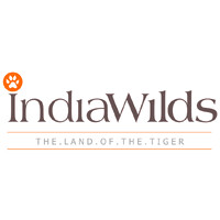 Wild Tiger Productions logo - Similar company to Asmii