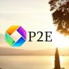 P2E PACA logo - Similar company to P2E