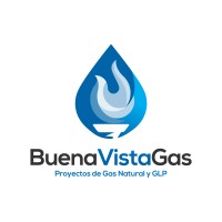 Buena Vista Gas logo - Similar company to Prolima Sas