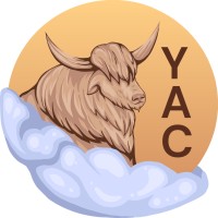 Your Accounting Cloud logo - Similar company to Benfrisco Accounting And Tax Services Inc.