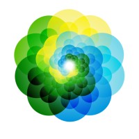 SkinVision logo - Similar company to Delft Imaging | Certified B Corp™