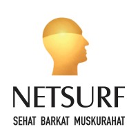 Netsurf Communications Pvt. Ltd logo - Similar company to Sarah Studio