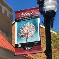 Shenandoah Arts Council