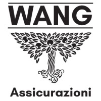 Wang Assicurazioni logo - Similar company to Assiprof Assicurazioni