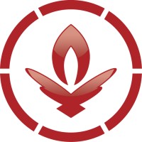 Vagner Almeida - Vertuous for Business logo - Similar company to Mvg Transportes - Rodomais