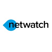 NetWatch Global® logo - Similar company to Netwatch