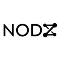 NODZ Consulting logo - Similar company to Iswise