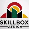 Skillbox Africa logo - Similar company to Smartafri Labs