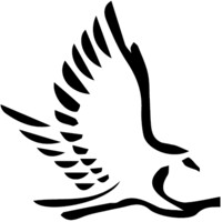 Aerie Group International Llc