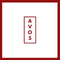 AVOS Consulting logo - Similar company to Avos Cloud