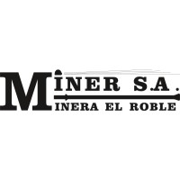 Mineraelroblesa logo - Similar company to Red Eagle Mining