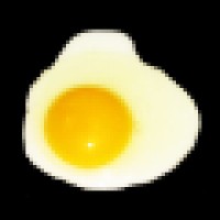 The Yolk