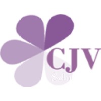 CJV SOLUTIONS logo - Similar company to Virgule