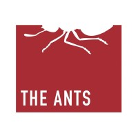 THE ANTS® logo - Similar company to True Knock Group