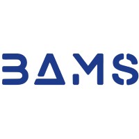 The BAMS Group logo - Similar company to Bams