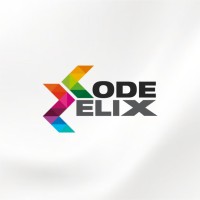 CodeRelix logo - Similar company to Gervanora Data Services Llp