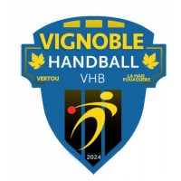 Vignoble Handball logo - Similar company to Frank Moms