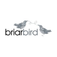 Briarbird