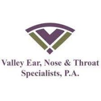 Valley Ear Nose & Throat logo - Similar company to Biltmore Ent
