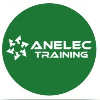 Anelec Industrial Safety Services logo - Similar company to Logic-I Group