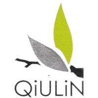 Qiulin Technologies logo - Similar company to Pixeflare